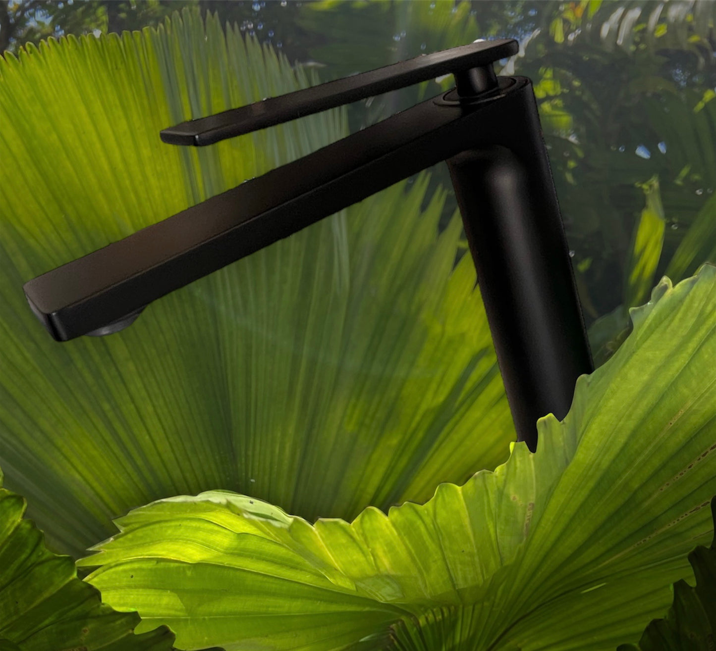 black basin mixer
